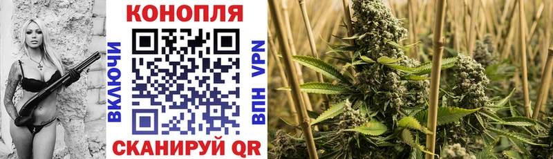 Цена Энем СК  COCAIN  Мефедрон  Гашиш 