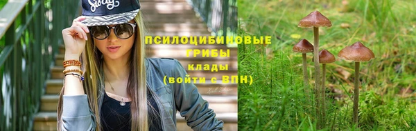 твердый Нефтекумск